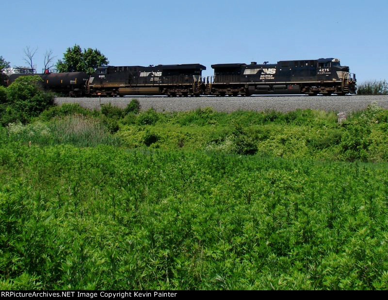 NS 4275